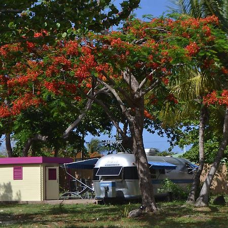 Airstream Paradise Bernard Exteriér fotografie